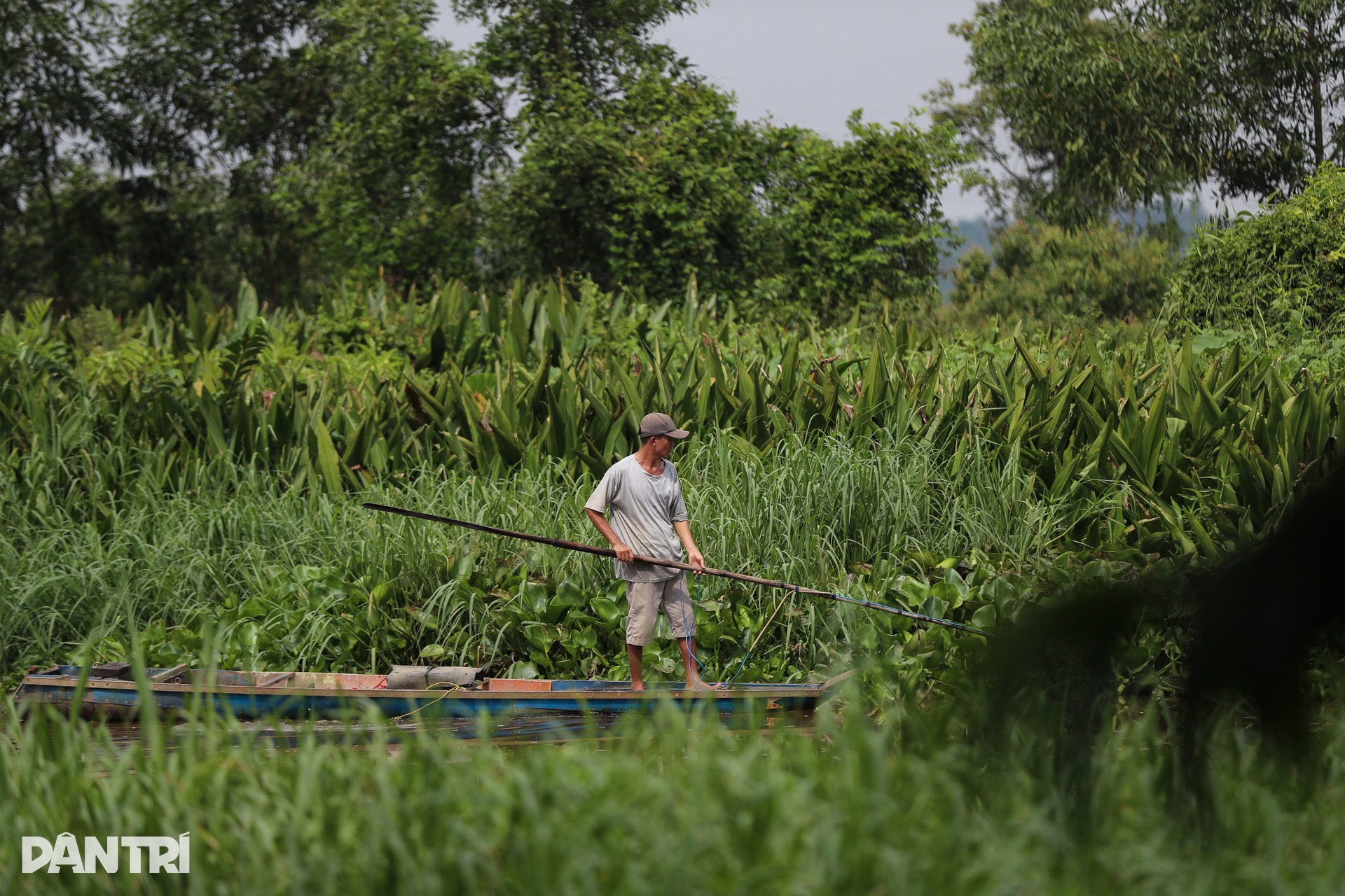 Cận cảnh siêu dự án 3,5 tỷ USD ở TPHCM sắp tái khởi động sau gần 20 năm - 11 Cận cảnh siêu dự án 3,5 tỷ USD ở TPHCM sắp tái khởi động sau gần 20 năm - 11