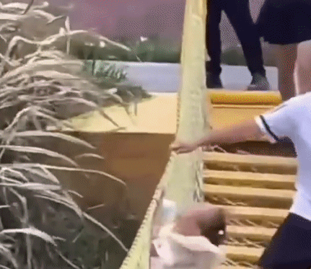 Người cha bị chỉ trích vì trò nghịch dại khiến con ngã nhào trên cầu treo - 1 Người cha bị chỉ trích vì trò nghịch dại khiến con ngã nhào trên cầu treo - 1