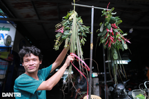 Người dân TPHCM "tay xách nách mang" mua lá xông, bánh ú cúng Tết Đoan Ngọ