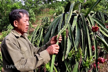 Làm giàu khác người: Một nghề thì sống, đống nghề...thành tỷ phú