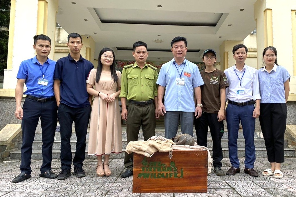 Cứu hộ 2 mẹ con tê tê - 2 Cứu hộ 2 mẹ con tê tê - 2