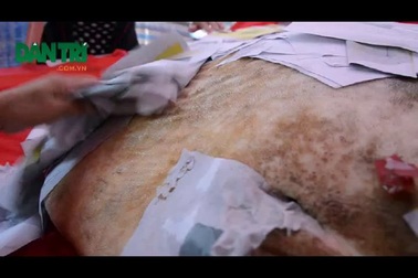 Ngư dân Quảng Ngãi làm lễ an táng cá lạ nặng gần 400 kg