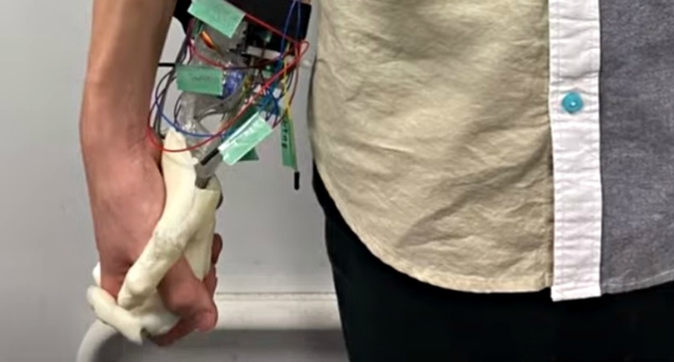 Bàn tay của bạn gái robot: Phát minh để an ủi những người cô đơn - 2