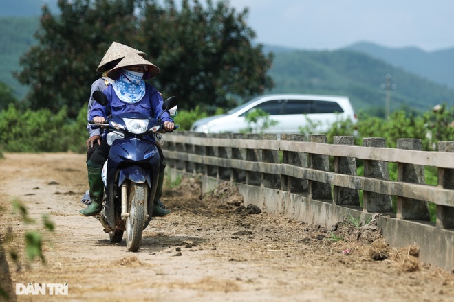 Đàn trâu nhởn nhơ rũ chất thải trên kênh dẫn vào nguồn nước sạch Hà Nội - 9 Đàn trâu nhởn nhơ rũ chất thải trên kênh dẫn vào nguồn nước sạch Hà Nội - 9