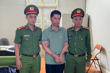 Khởi tố một trưởng bản ở Sơn La vì phá rừng