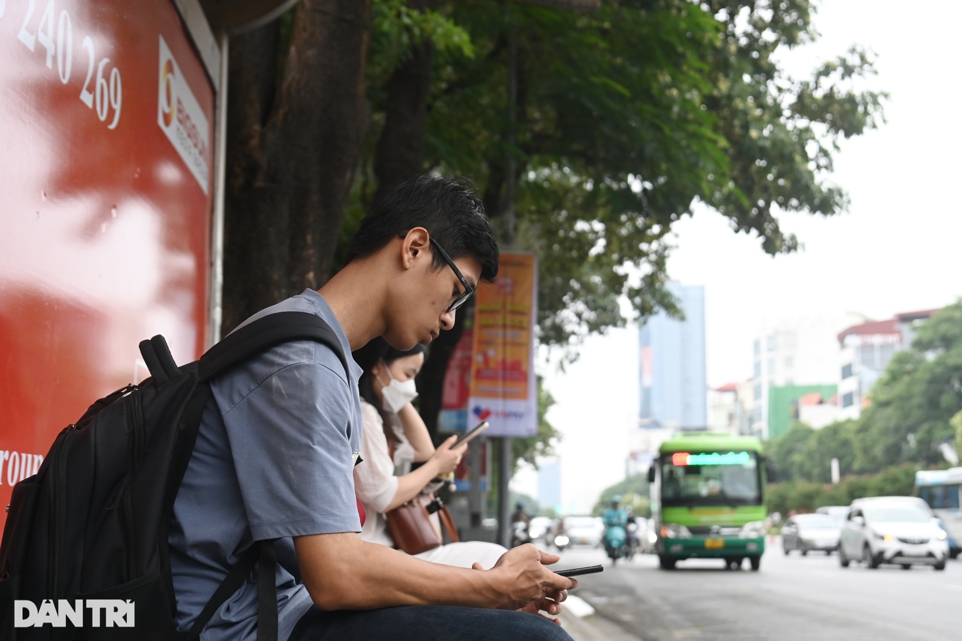 Người dân ám ảnh trước mùi hoa sữa đặc trưng của Hà Nội - 14 Người dân ám ảnh trước mùi hoa sữa đặc trưng của Hà Nội - 14