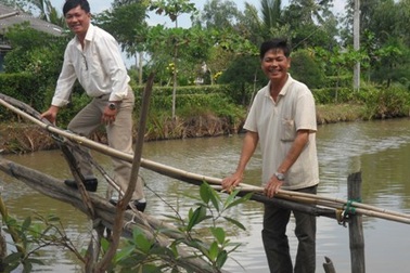  Ăn Tết ở vùng nông thôn nước lợ miền Tây