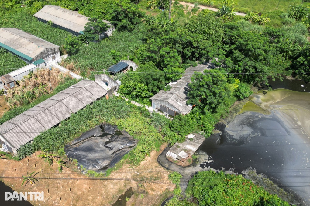 Dân kêu trời vì mùi hôi thối từ trại lợn ở Ninh Bình - 5 Dân kêu trời vì mùi hôi thối từ trại lợn ở Ninh Bình - 5