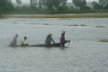 Thương lắm, mùa bão ơi!