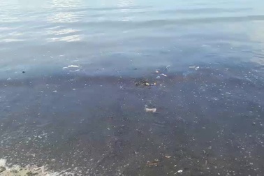 4 km bờ biển Đà Nẵng nước đen ngòm sau Tết