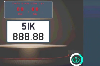 Đại biểu Quốc hội đề xuất phạt tiền người trúng đấu giá bỏ cọc