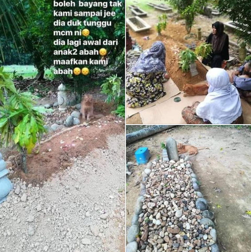 Cảm động chú mèo suốt hai năm, ngày nào cũng đến thăm mộ chủ - 2 Cảm động chú mèo suốt hai năm, ngày nào cũng đến thăm mộ chủ - 2
