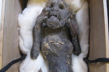 Xác ướp "nàng tiên cá" 300 tuổi là sản phẩm ghép giữa khỉ và cá?