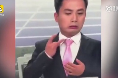 Tình huống hy hữu khi người dẫn chương trình bị ong đậu lên người khi đang ghi hình