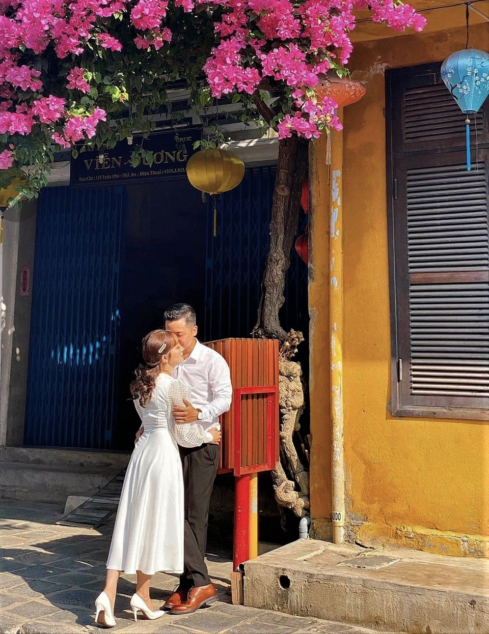 Những giàn hoa giấy Hội An hồi sinh rực rỡ sau những ngày giông bão - 6 Những giàn hoa giấy Hội An hồi sinh rực rỡ sau những ngày giông bão - 6