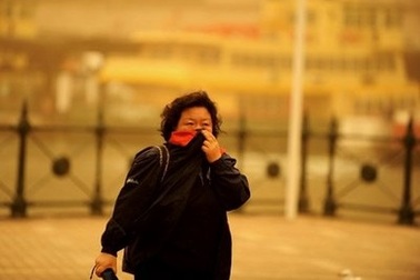 Sydney “nghẹt thở” trong bão bụi đỏ