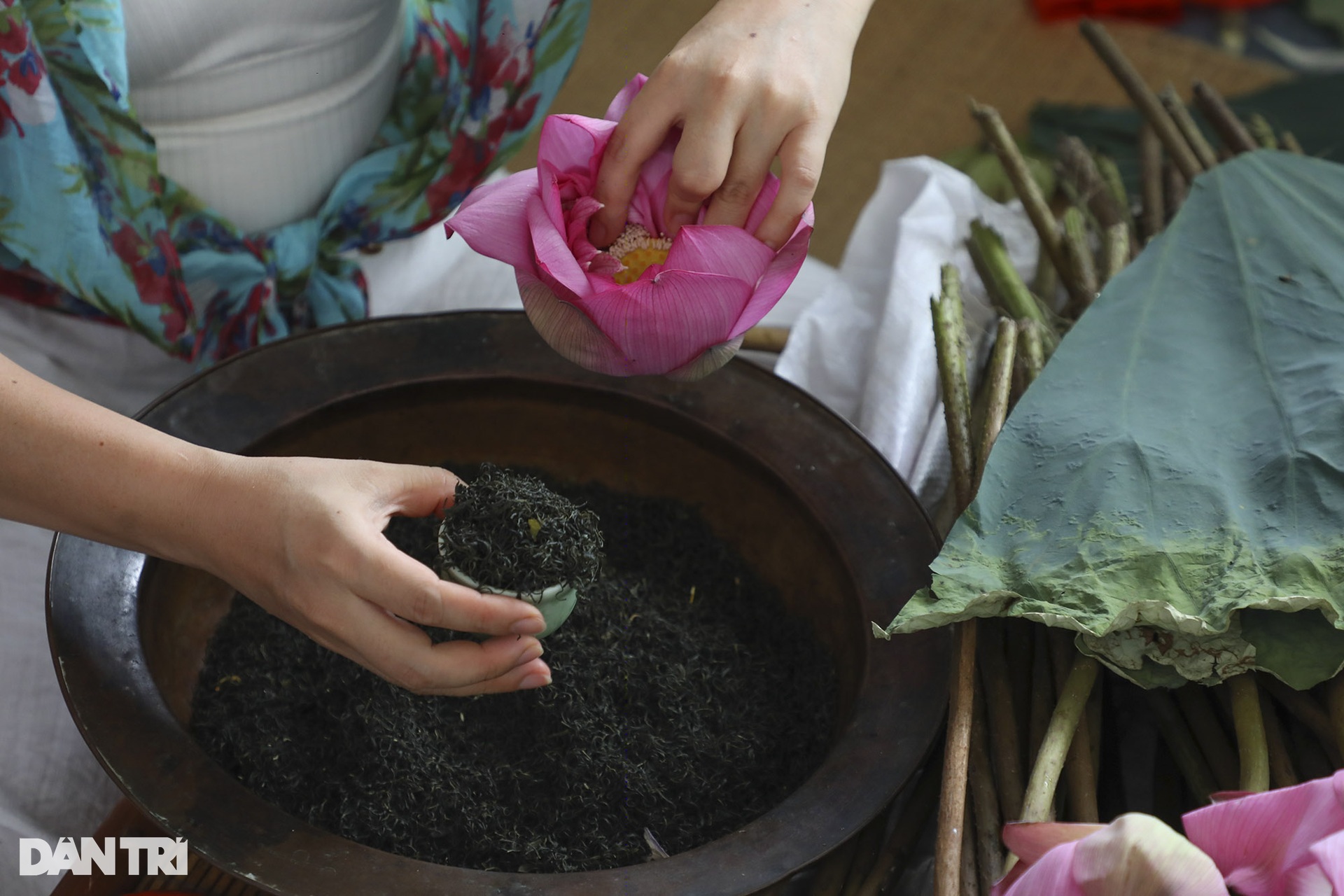 Thưởng thức trà sen hảo hạng tại Lễ hội sen Hà Nội - 4 Thưởng thức trà sen hảo hạng tại Lễ hội sen Hà Nội - 4