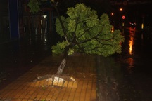 Bão đổ bộ Thái Bình - Ninh Bình với cường độ mạnh