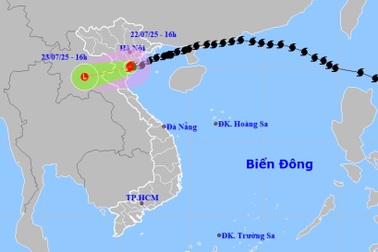 Ba giờ qua bão Wipha ít di chuyển, vẫn mạnh cấp 8 giật cấp 10