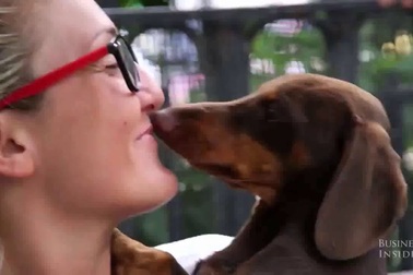 Tại sao mọi người không nên để chó liếm mặt?