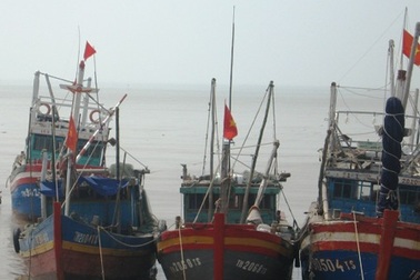 Hơn 8.000 tàu thuyền đã vào nơi tránh trú bão an toàn