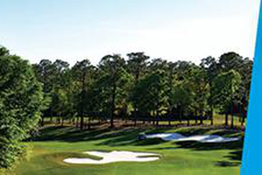 Ưu đãi hấp dẫn cho người chơi golf từ Alegolf và Vinaphone