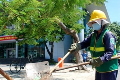 Lương sếp doanh nghiệp công ích ở Đà Nẵng gấp đôi lương Giám đốc sở