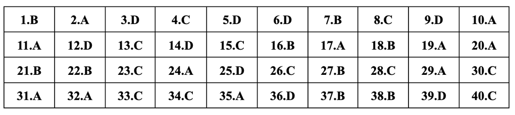 Gợi ý đáp án toàn bộ 24 mã đề môn tiếng Anh kỳ thi lớp 10 của Hà Nội - 20