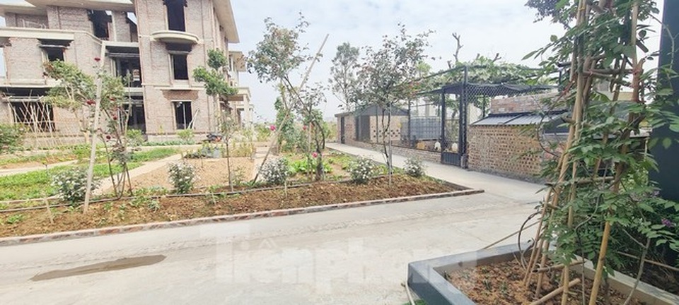 Biệt thự nuôi gà, trồng rau ngoại thành Hà Nội bất ngờ được thổi giá dựng ngược - 12 Biệt thự nuôi gà, trồng rau ngoại thành Hà Nội bất ngờ được thổi giá dựng ngược - 12