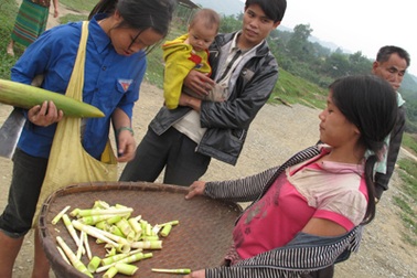 Hàng trăm người dân bỏ khu tái định cư về quê cũ