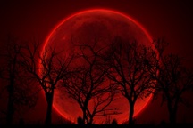 Ngày mai có "trăng máu" kết hợp "siêu trăng", ở Việt Nam xem được không?