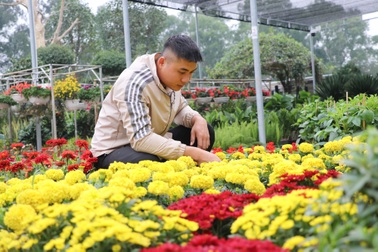 Giá hoa Tết tăng 30%, tiểu thương vẫn vui vì đông khách