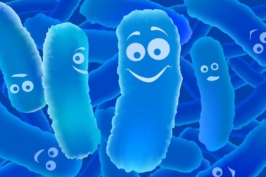 Sai lầm trong điều trị táo bón khiến hệ tiêu hóa của trẻ bị tổn thương