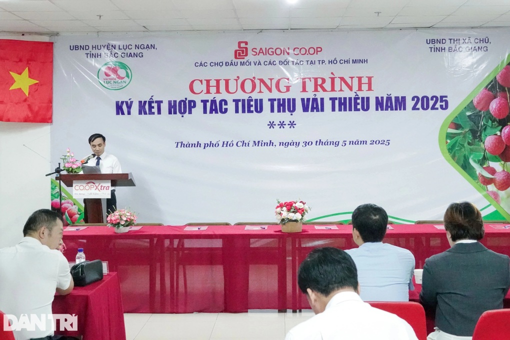 Gỡ khó thị trường vải thiều, giúp nhà vườn “vươn lên làm giàu” - 2 Gỡ khó thị trường vải thiều, giúp nhà vườn “vươn lên làm giàu” - 2