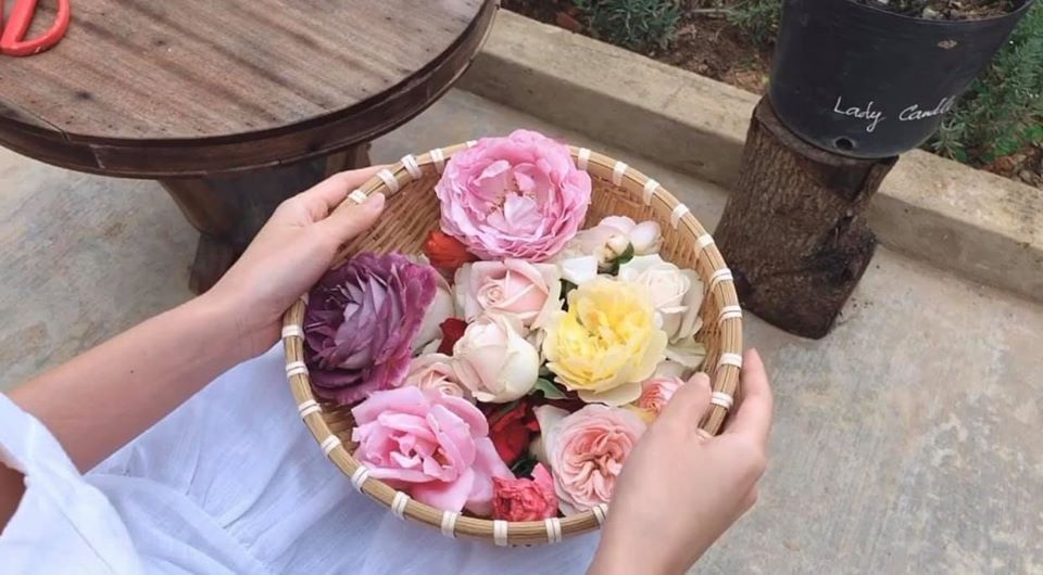 Midu “bỏ phố lên rừng” cách ly sau khi được giải oan tin đồn “sống hai mặt” - 7 Midu “bỏ phố lên rừng” cách ly sau khi được giải oan tin đồn “sống hai mặt” - 7