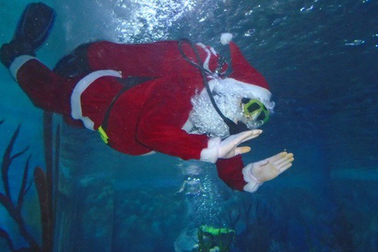 Câu chuyện về những nghề đặc biệt mùa Giáng sinh