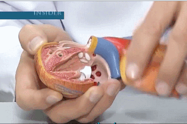 Các loại thực phẩm lành mạnh giúp bạn sống lâu hơn