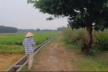 Đi chở lúa, người đàn ông bị sét đánh tử vong