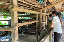 Nỗ lực giúp người dân vùng đất đỏ vươn lên thoát nghèo