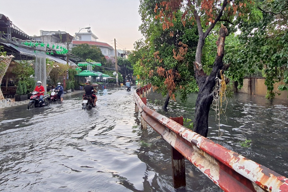 TPHCM mưa trắng trời, đường ngập, cây đổ khắp nơi - 2 TPHCM mưa trắng trời, đường ngập, cây đổ khắp nơi - 2