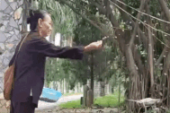 Thanh Hóa: Đàn khỉ hoang trăm con trên núi đá, hàng ngày xuống chùa xin ăn