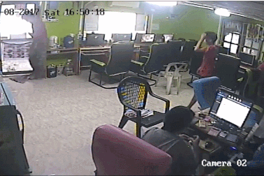 Kinh hoàng cảnh rắn đột nhập vào quán Internet và tấn công khách