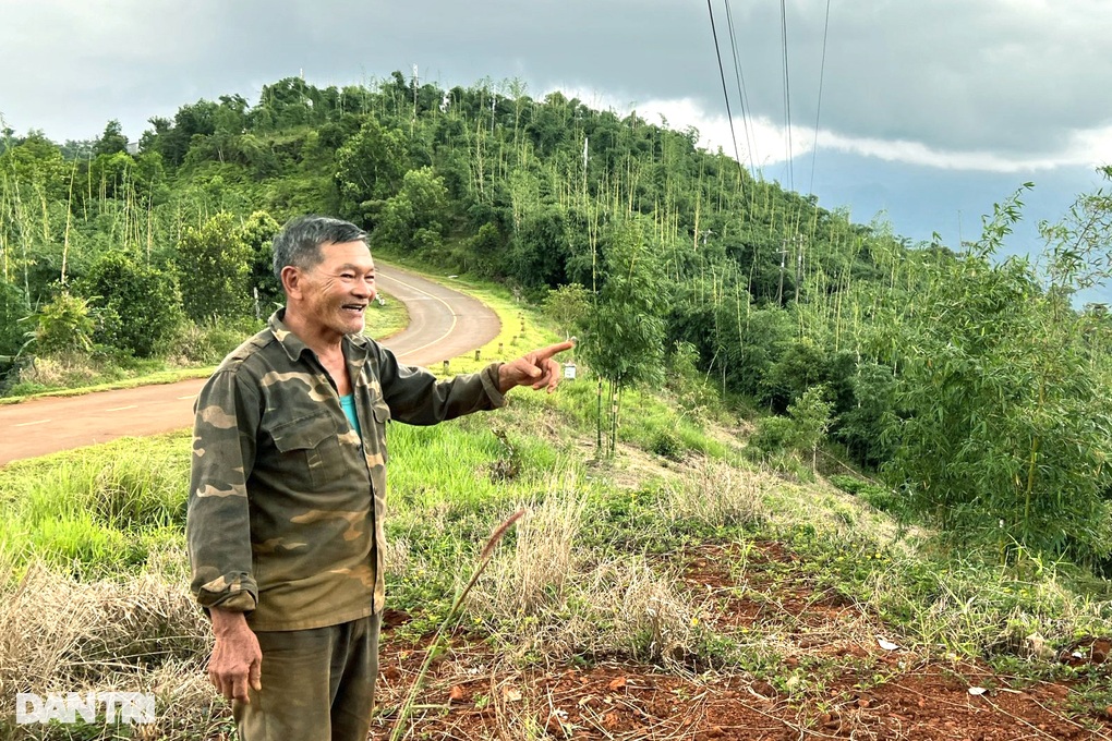 Trồng thứ cây trăm đốt, lão nông cao nguyên hốt bạc tỷ mỗi tháng - 1 Trồng thứ cây trăm đốt, lão nông cao nguyên hốt bạc tỷ mỗi tháng - 1
