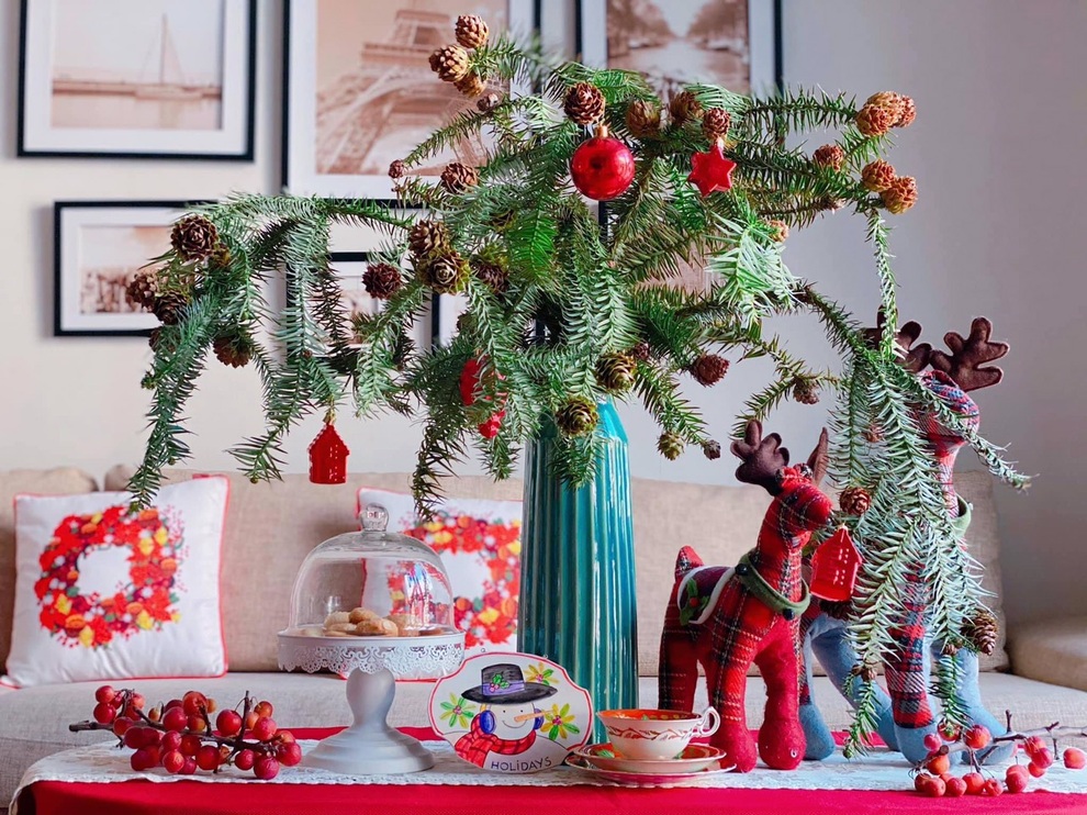 Thông Noel đi máy bay về Việt Nam giá chục triệu đồng/cây vẫn hút khách - 4 Thông Noel đi máy bay về Việt Nam giá chục triệu đồng/cây vẫn hút khách - 4