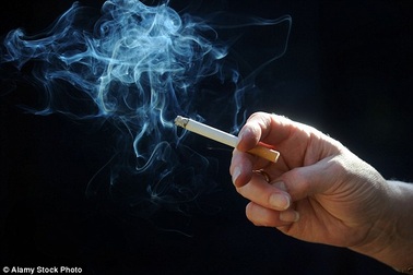 Tiết lộ gây sốc đối với các nhà khoa học nghiên cứu cách chữa bệnh ung thư