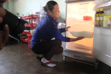 Nông dân “khóc đứng khóc ngồi” vì bò sữa