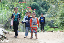 Liên ngành chung tay phòng ngừa, giảm thiểu trẻ em lao động trái quy định