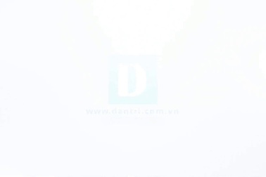 Trưng bày hơn 300 hiện vật, tài liệu tại triển lãm "Tổ quốc tri ân"