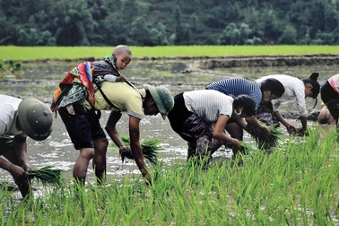 “Tan chảy” trước hình ảnh những ông bố Việt “bỉm sữa” đảm đang