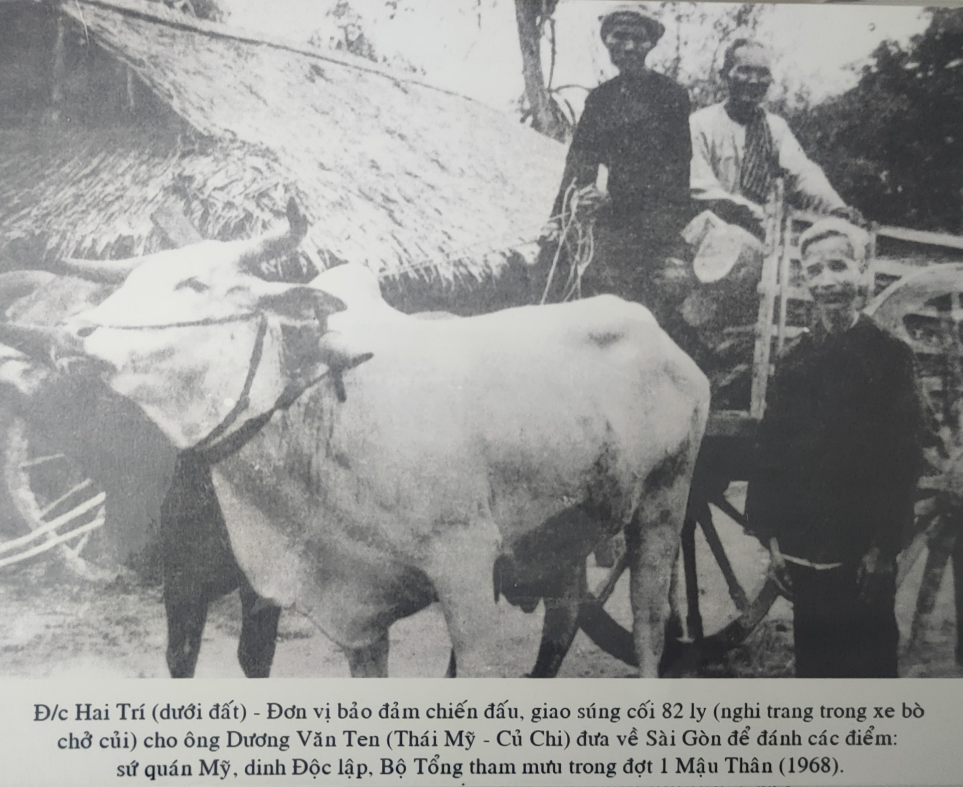 Chiến tranh làm tôi xa chồng, chiến tranh cũng đưa tôi gặp lại mẹ chồng - 4 Chiến tranh làm tôi xa chồng, chiến tranh cũng đưa tôi gặp lại mẹ chồng - 4
